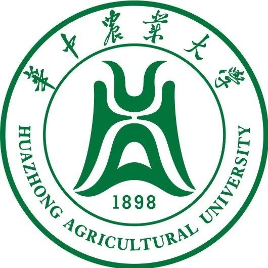 Huazhong University